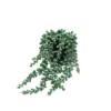 12cm String Of Pearls Artificial Plant In Black Ceramic Pot -Hoze Landscaping Shop 12cm string of pearls artificial plant in black ceramic pot5010795682591 01c bq