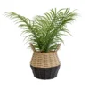 20cm Palm Artificial Plant In Natural Wicker Basket -Hoze Landscaping Shop 20cm palm artificial plant in natural wicker basket5010795682577 01c bq