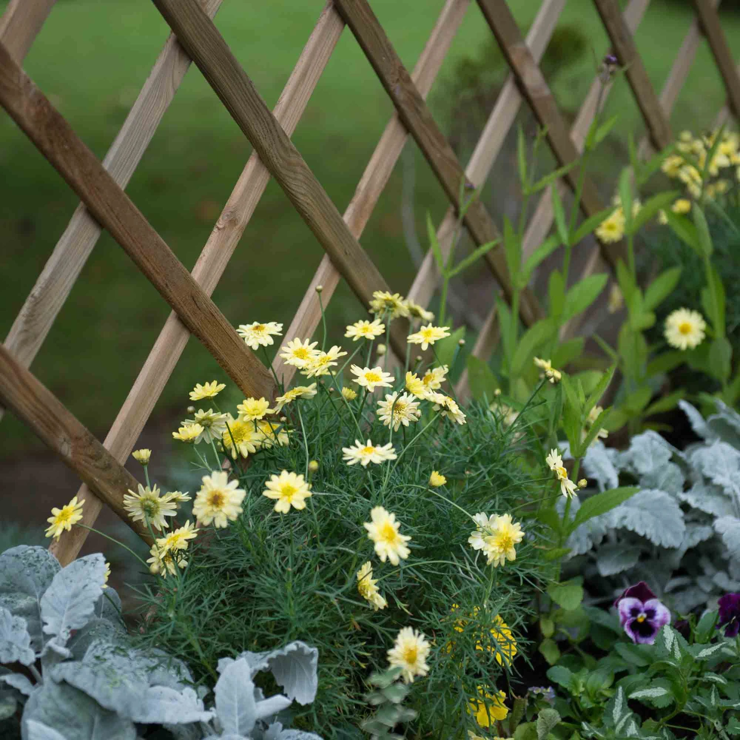 Forest Garden Venice Natural Timber Wooden Rectangular Planter 4 Forest Garden Venice Natural Timber Wooden Rectangular Planter - Image 2