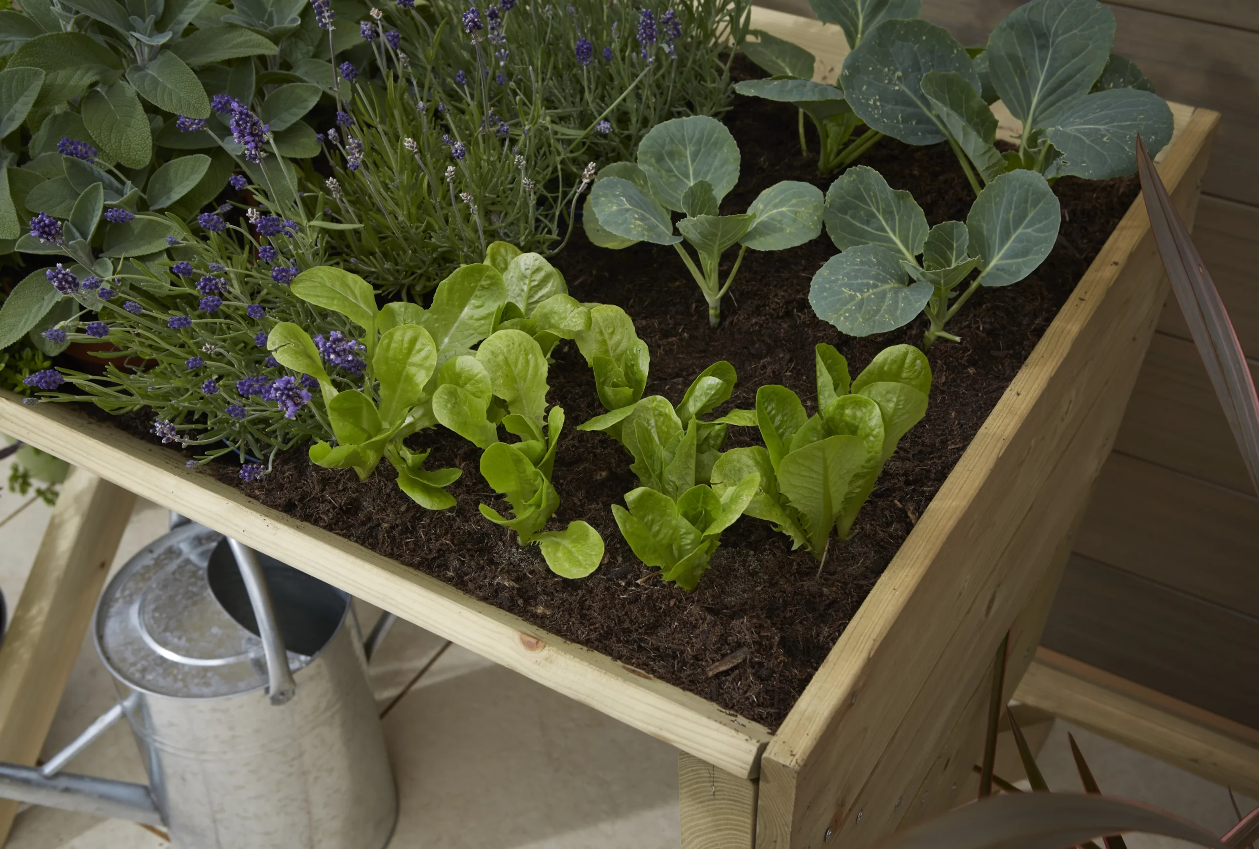 Verve 930mmx690mm Wood Rectangular Raised Bed Kit 0.64m² 5 Verve 930mmx690mm Wood Rectangular Raised Bed Kit 0.64m² - Image 3